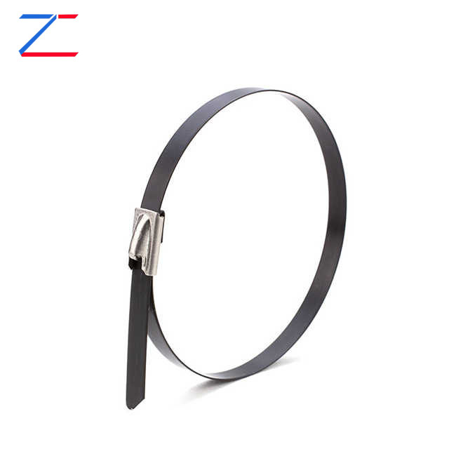 Perché scegliere le fascette per cavi in ​​acciaio inossidabile rivestito?